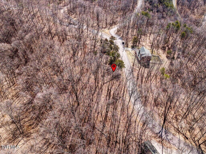 Photo #7: 273 Chelaque Way