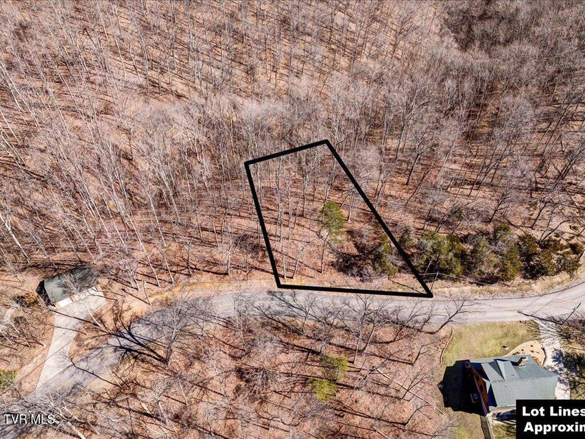 Photo #9: 273 Chelaque Way