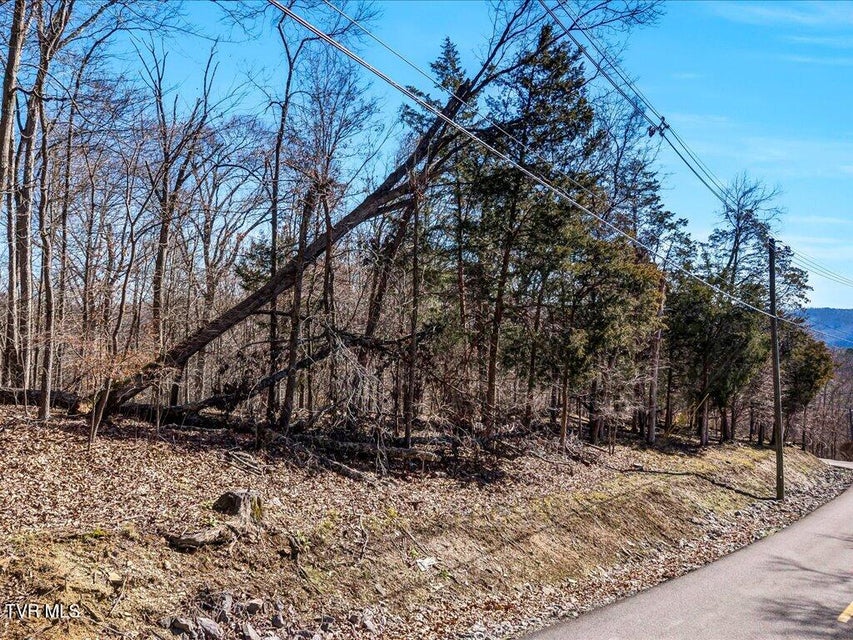 Photo #10: 273 Chelaque Way