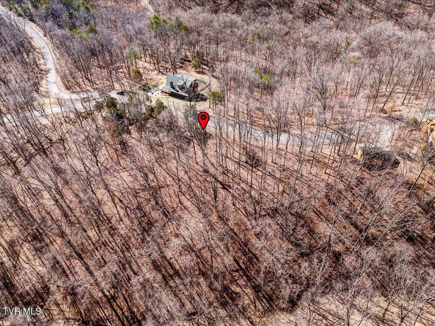 Photo #11: 273 Chelaque Way