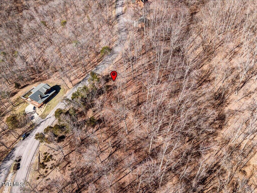 Photo #13: 273 Chelaque Way