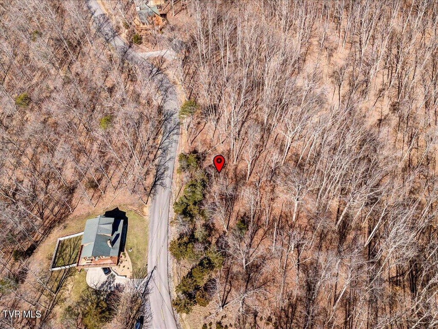 Photo #14: 273 Chelaque Way