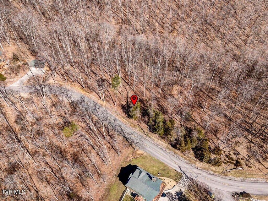 Photo #15: 273 Chelaque Way