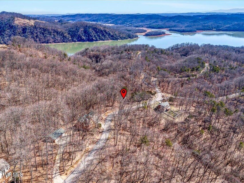 Photo #16: 273 Chelaque Way