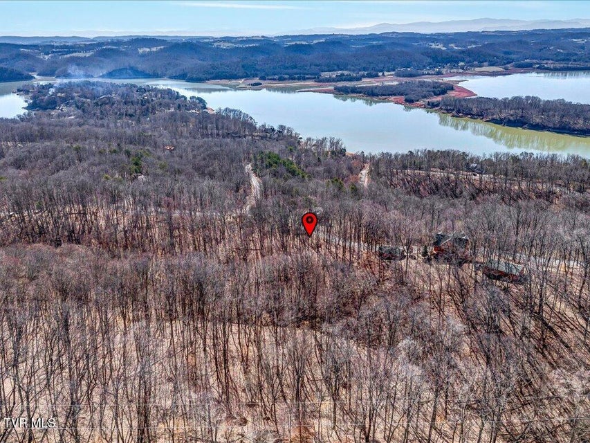 Photo #18: 273 Chelaque Way