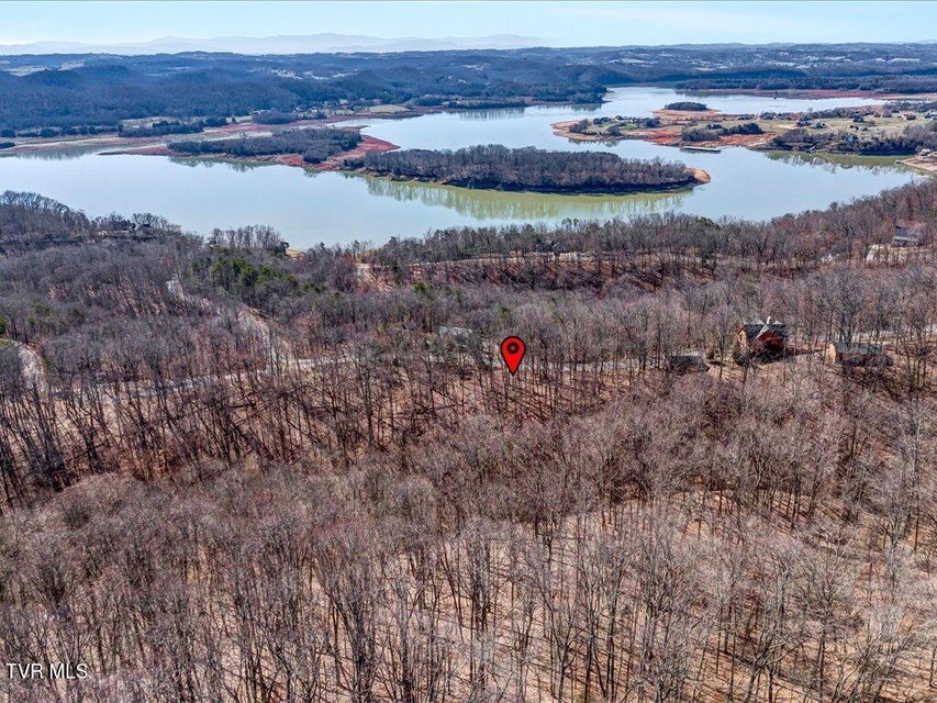 Photo #19: 273 Chelaque Way