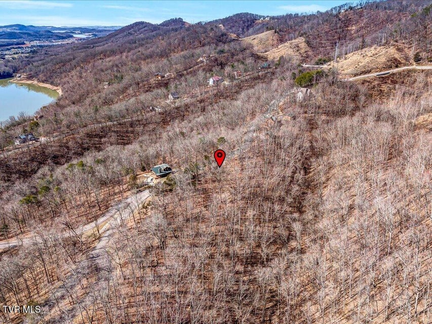 Photo #20: 273 Chelaque Way