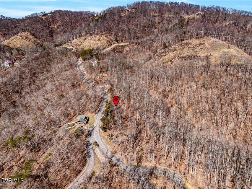 Photo #21: 273 Chelaque Way