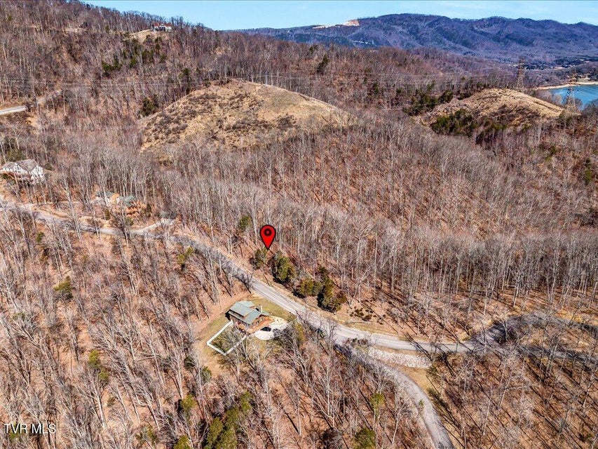 Photo #22: 273 Chelaque Way