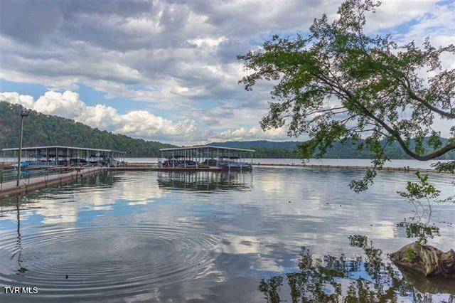 Photo #32: 273 Chelaque Way