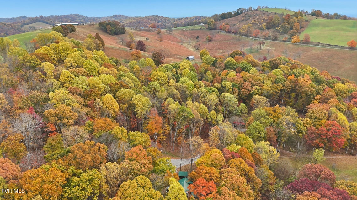 Photo #15: 220 Old Orchard Road