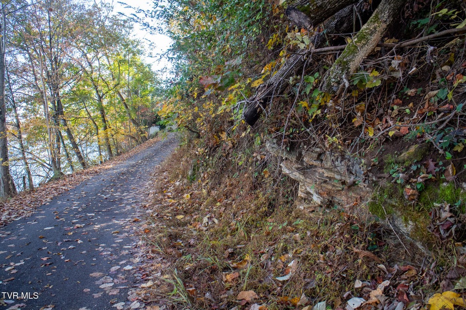 Photo #6: Lot 24 Furches Drive