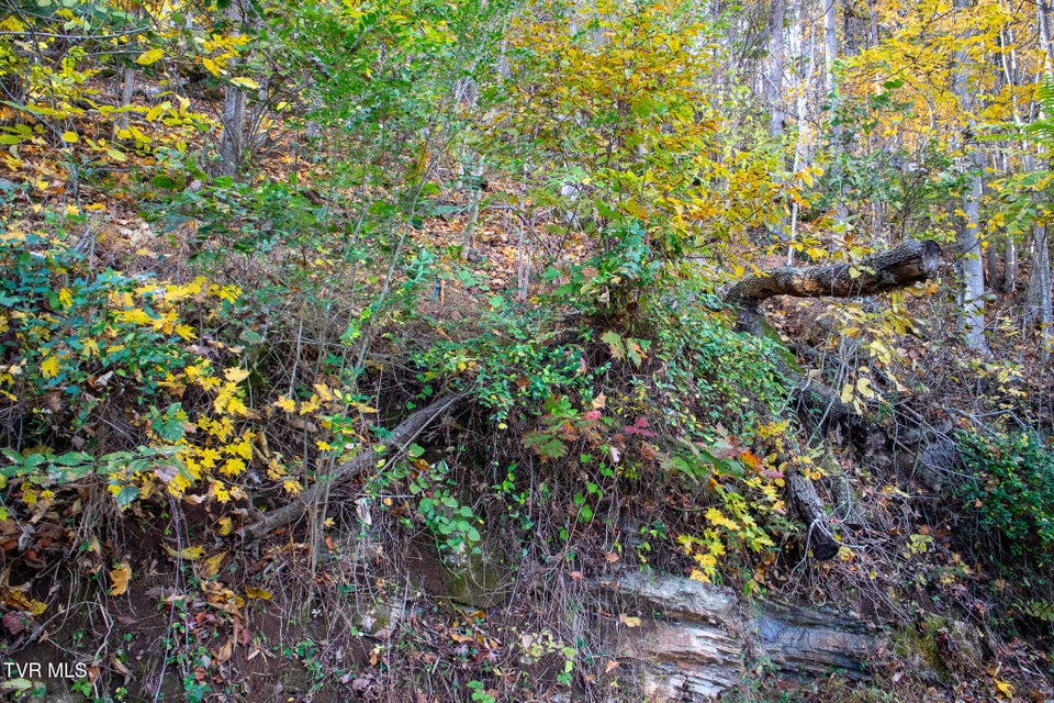 Photo #9: Lot 24 Furches Drive