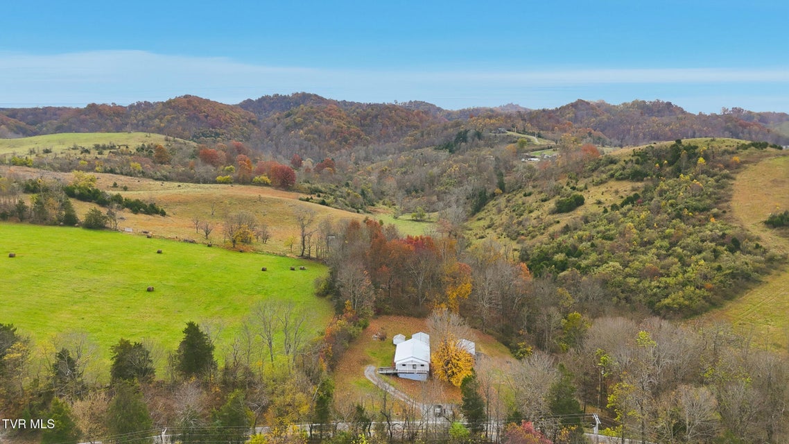 Photo #17: 3730 Mew Road