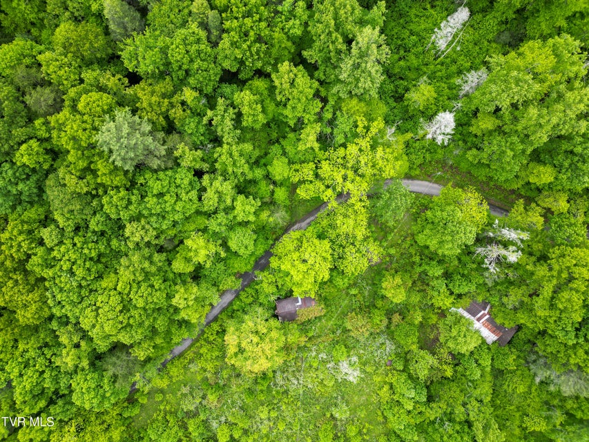 Photo #5: Tbd Paint Mtn Road