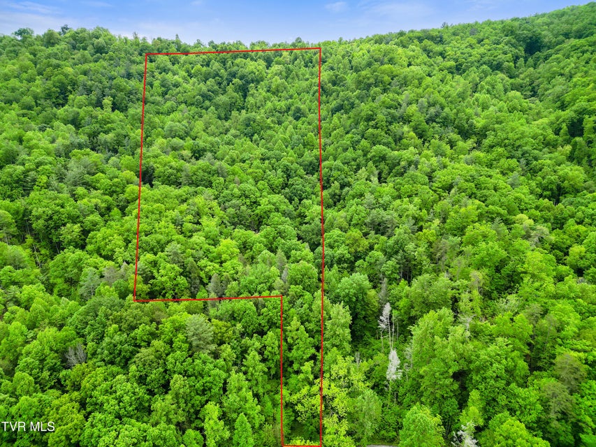 Photo #6: Tbd Paint Mtn Road