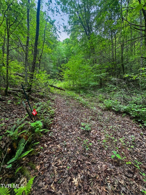 Photo #9: Tbd Paint Mtn Road