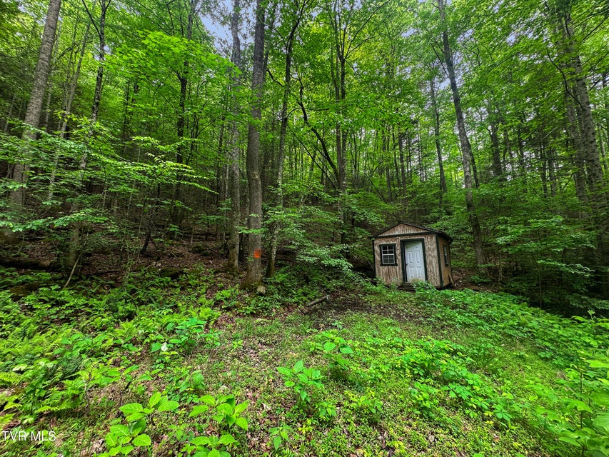 Photo #11: Tbd Paint Mtn Road