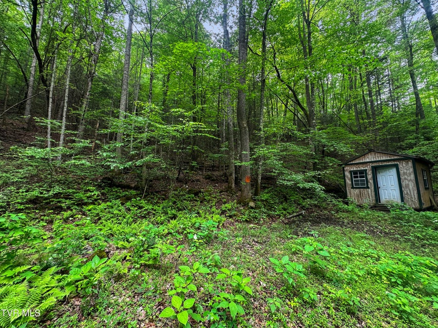 Photo #12: Tbd Paint Mtn Road