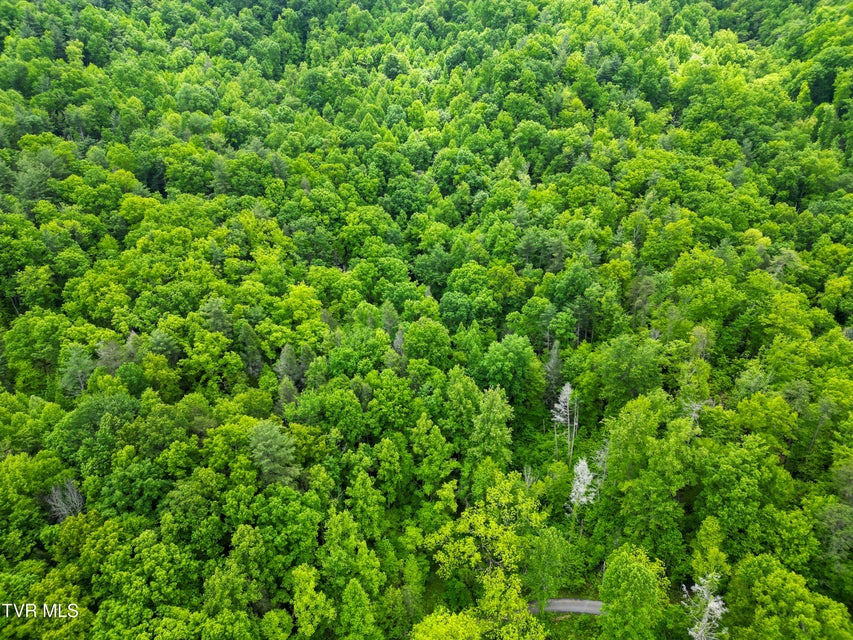 Photo #13: Tbd Paint Mtn Road