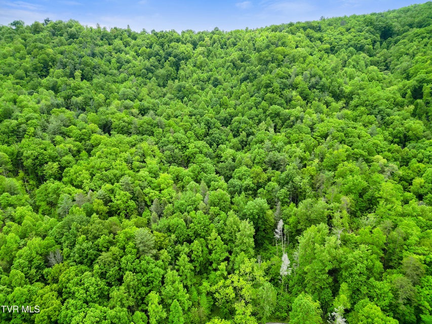 Photo #14: Tbd Paint Mtn Road