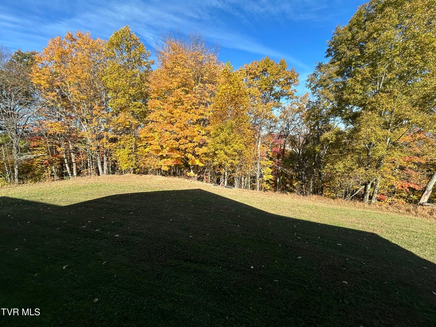 Photo #36: 7503 Strawberry Mountain Road