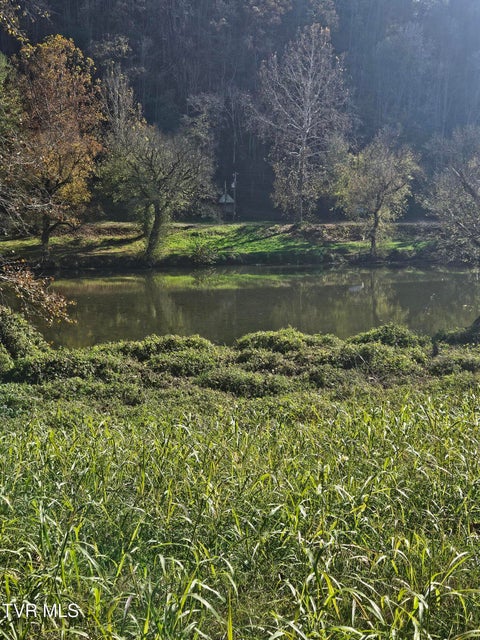 Photo #7: 0 Anglers Way Road