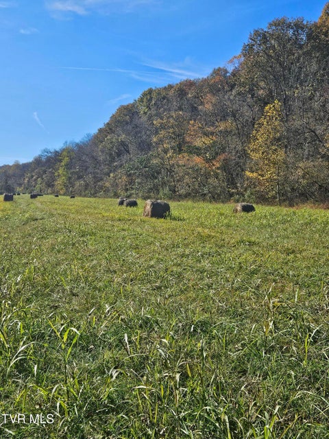 Photo #15: 0 Anglers Way Road