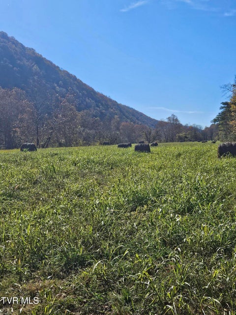 Photo #14: 0 Anglers Way Road