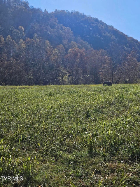 Photo #17: 0 Anglers Way Road