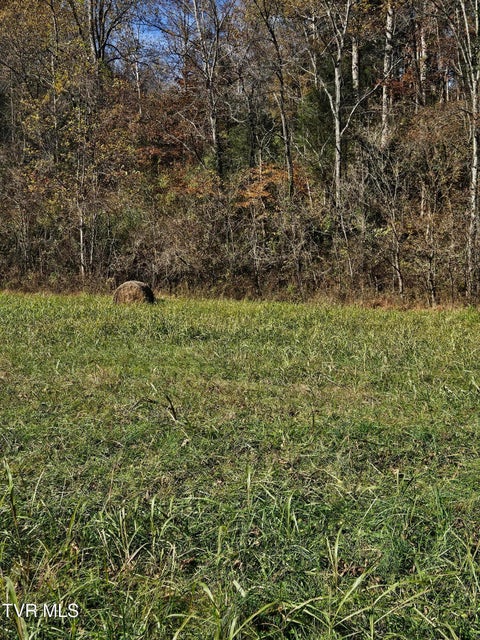 Photo #18: 0 Anglers Way Road