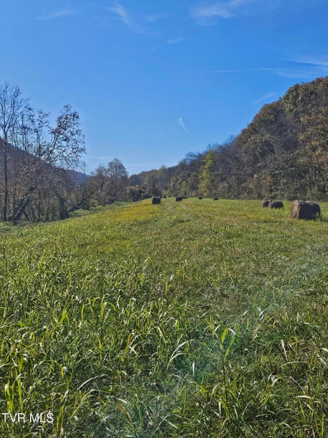 Photo #13: 0 Anglers Way Road