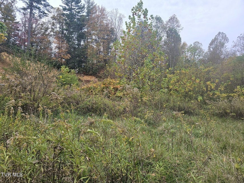 Photo #3: Tbd Blaine White Road