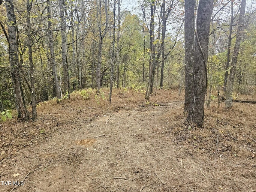 Photo #4: Tbd Blaine White Road