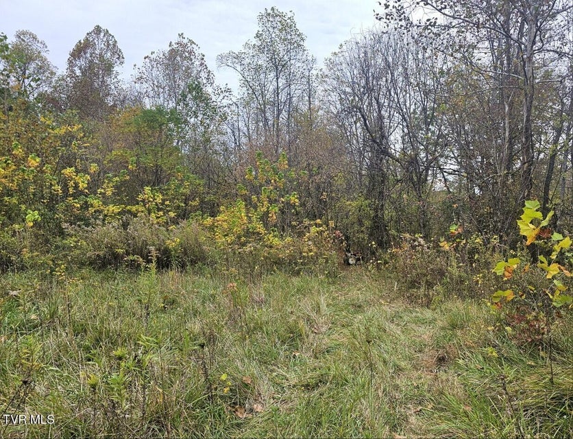 Photo #7: Tbd Blaine White Road