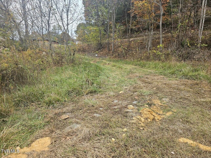 Photo #8: Tbd Blaine White Road