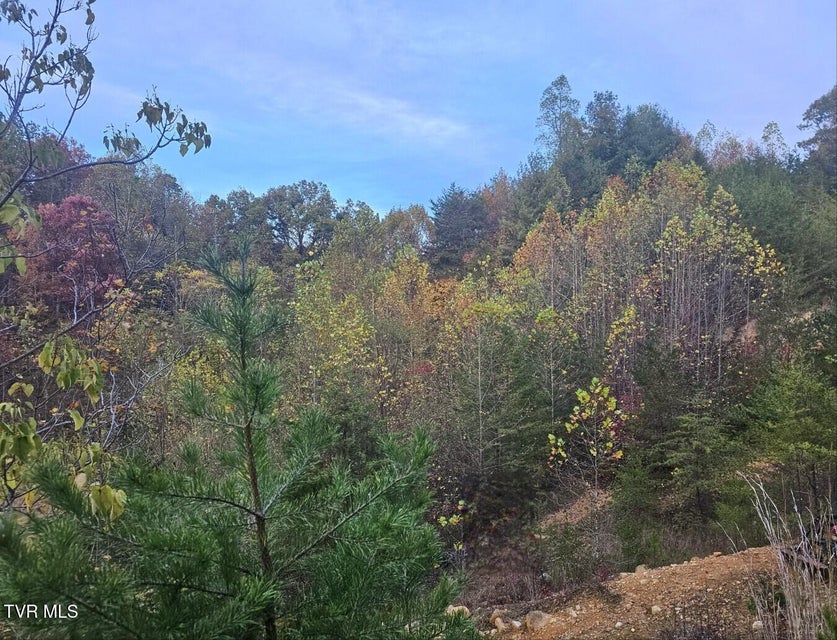 Photo #9: Tbd Blaine White Road