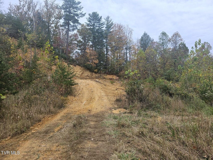 Photo #10: Tbd Blaine White Road