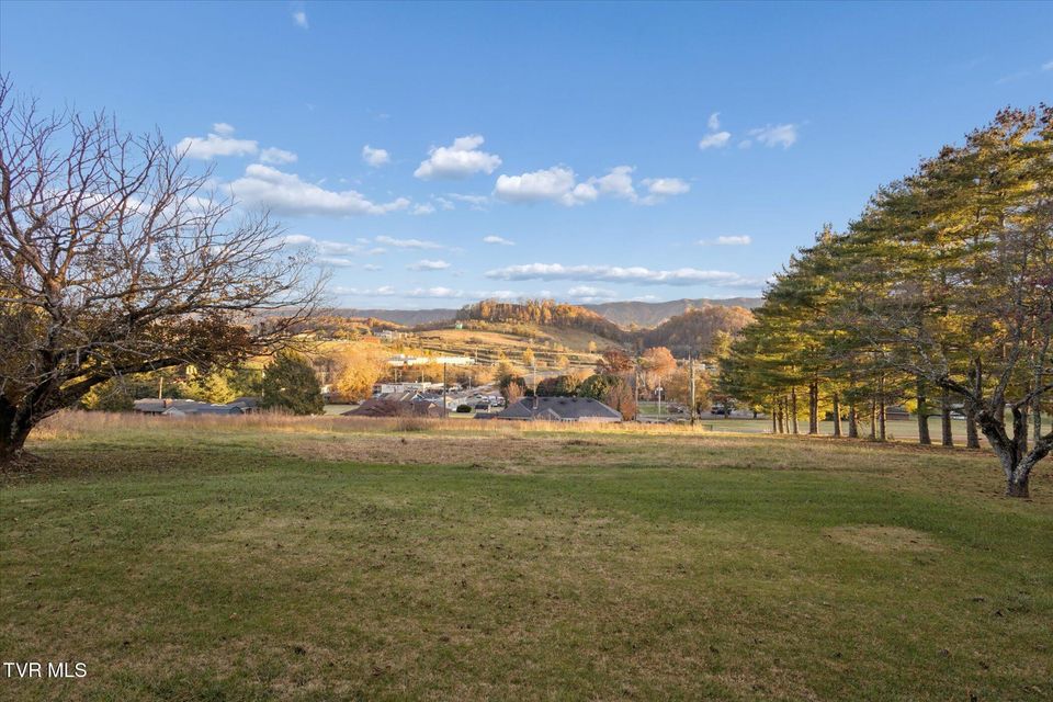 Photo #37: 82 Hurt Avenue