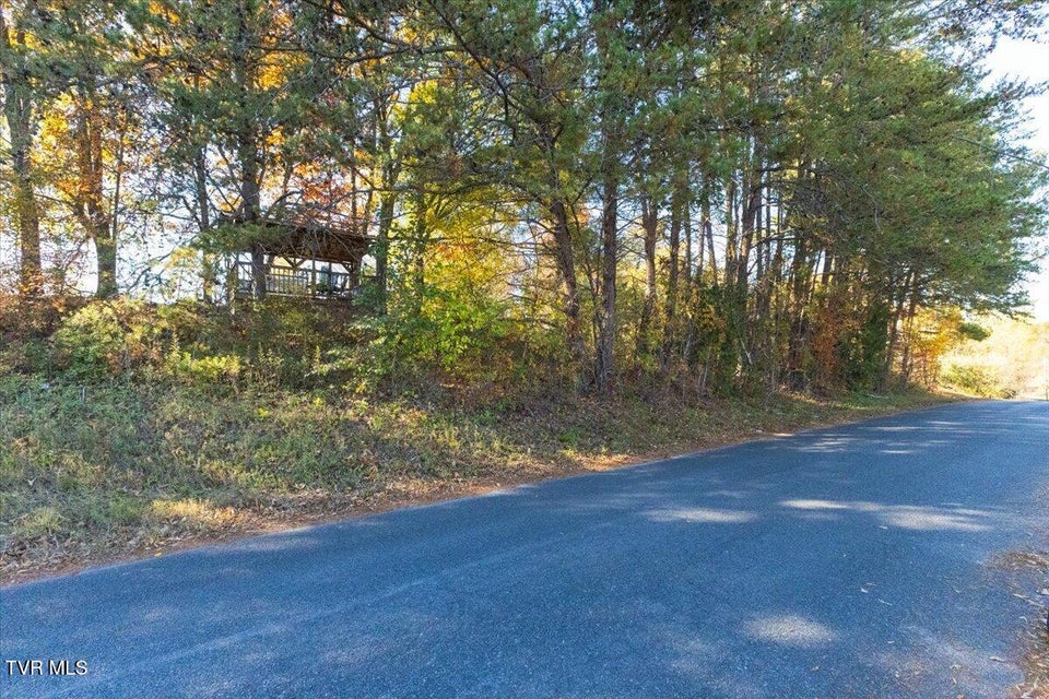 Photo #9: Lots 14-15 Wilmore Drive