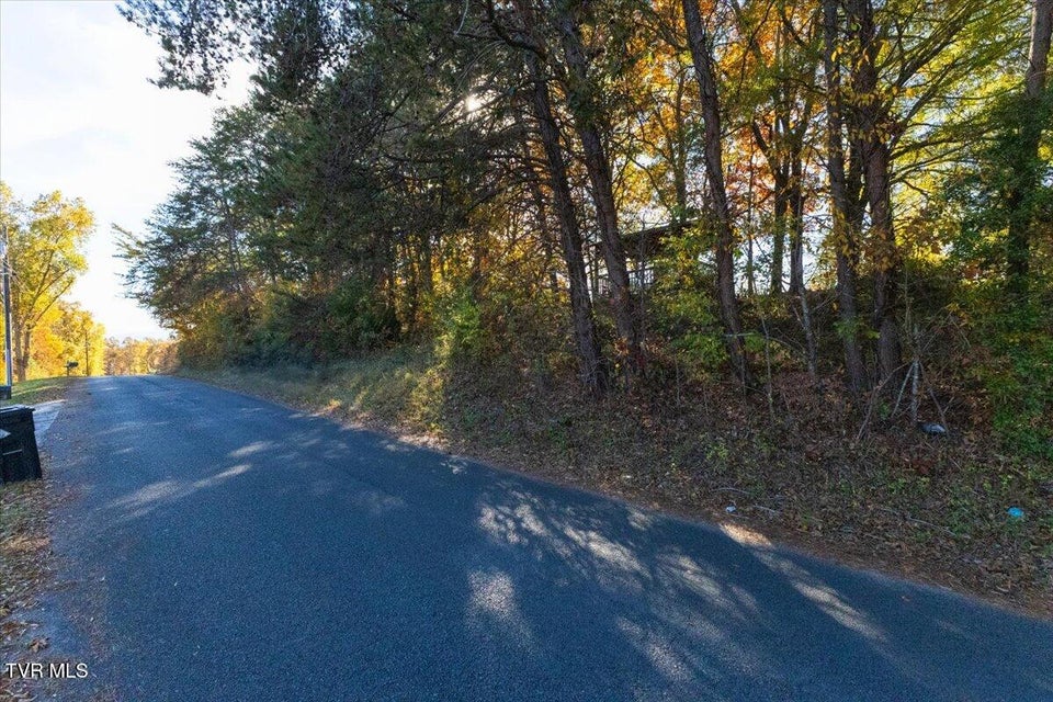 Photo #10: Lots 14-15 Wilmore Drive