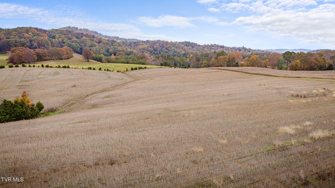 Photo #4: 6795 (Tbd) Gap Creek Rd 