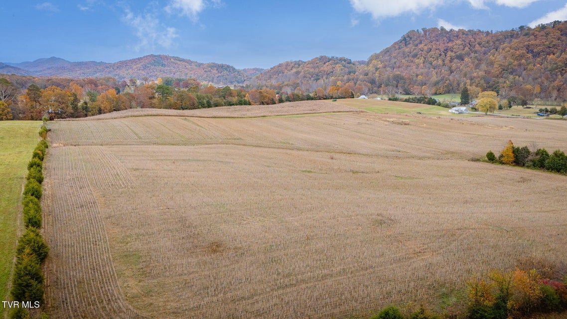 Photo #5: 6795 (Tbd) Gap Creek Rd 