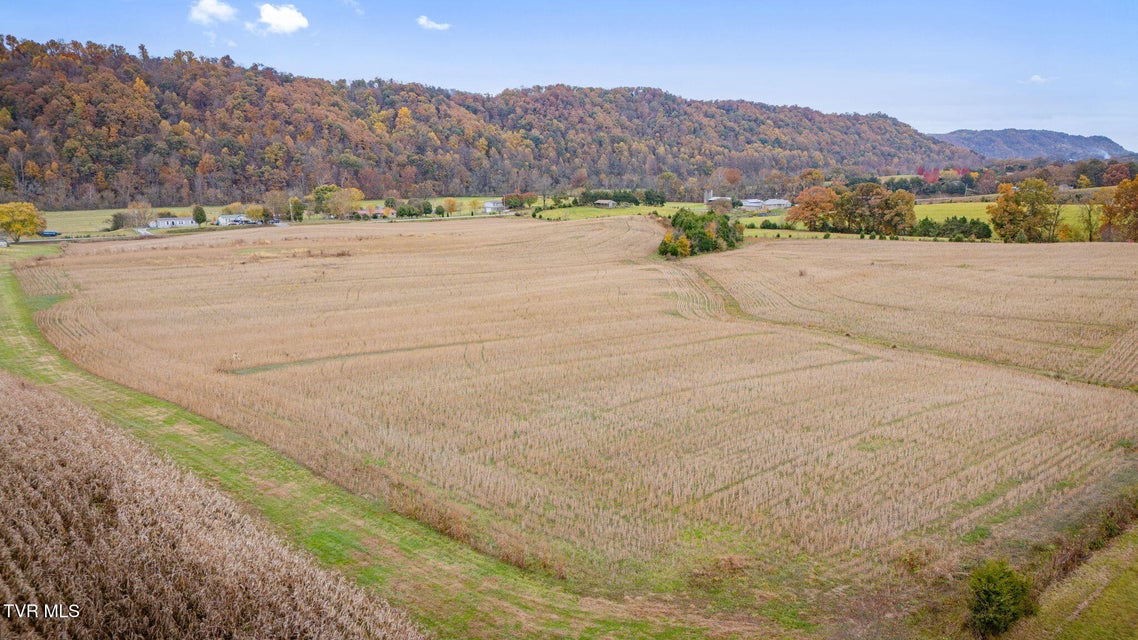 Photo #6: 6795 (Tbd) Gap Creek Rd 