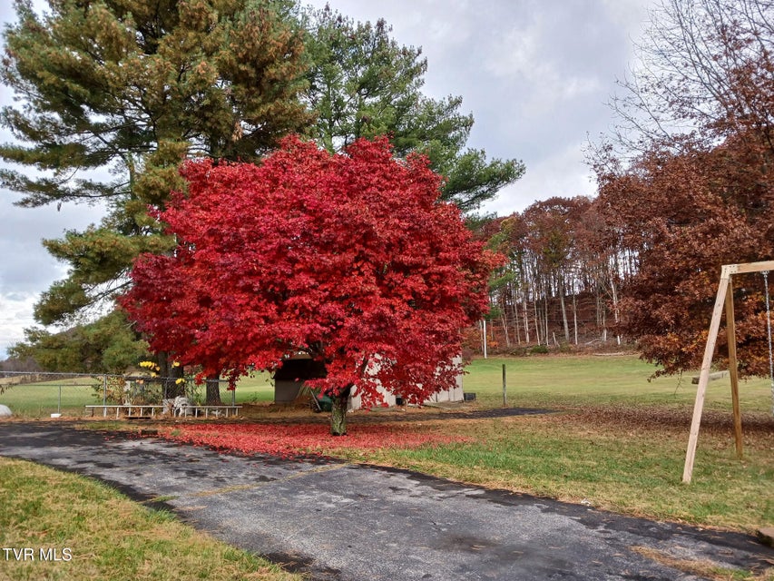 Photo #41: 520 Valley Drive