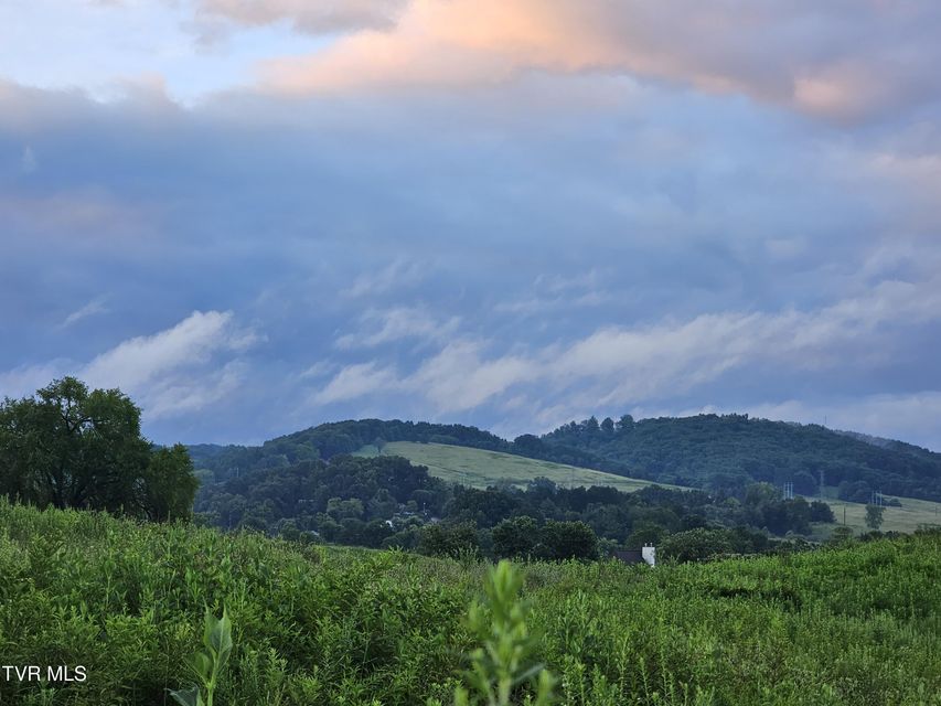 Photo #8: 000 Highway 66 