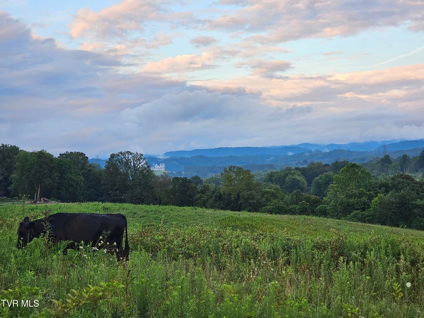 Photo #10: 000 Highway 66 