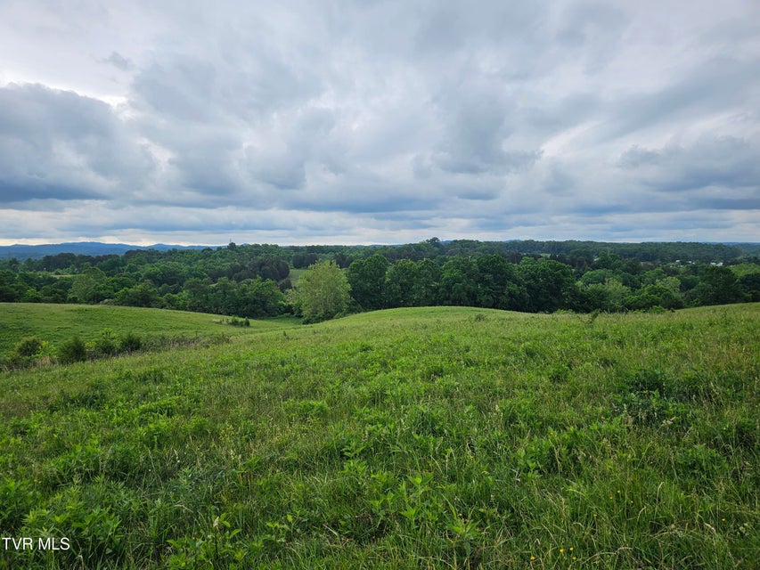 Photo #12: 000 Highway 66 