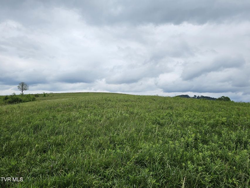 Photo #14: 000 Highway 66 