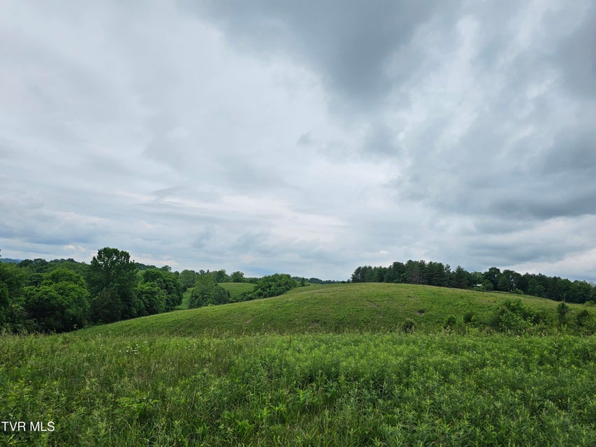 Photo #15: 000 Highway 66 